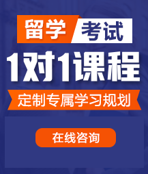 操逼的高清视频留学考试一对一精品课